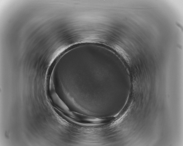 X0000095111077200712141146