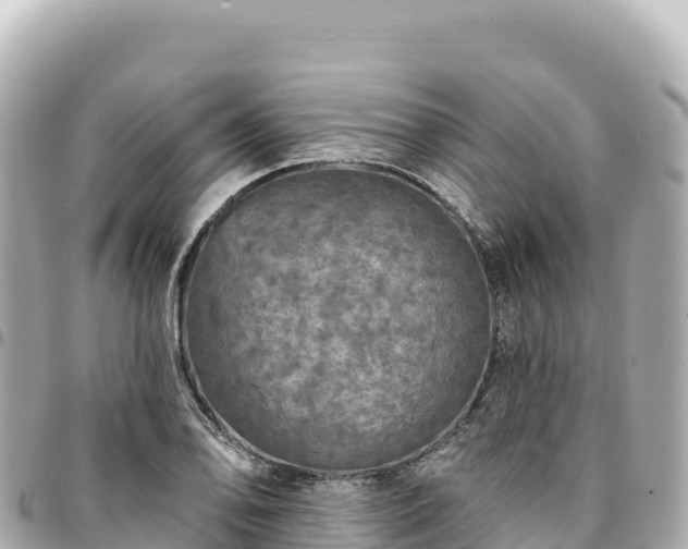 X0000095111078200712141146