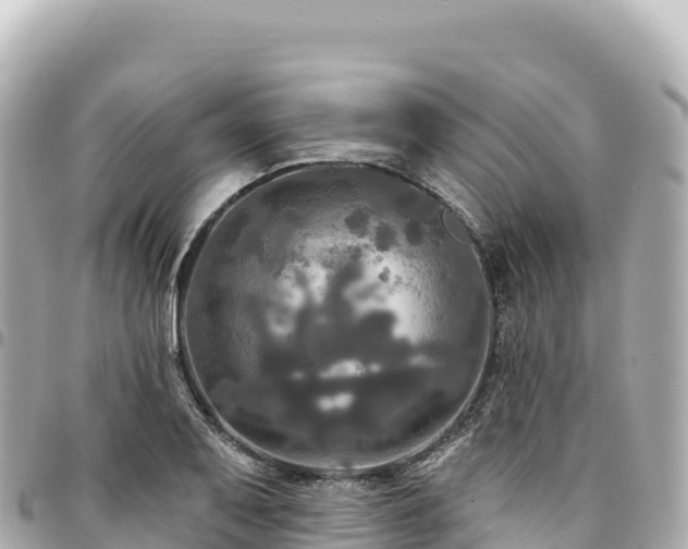 X0000095111079200712141146