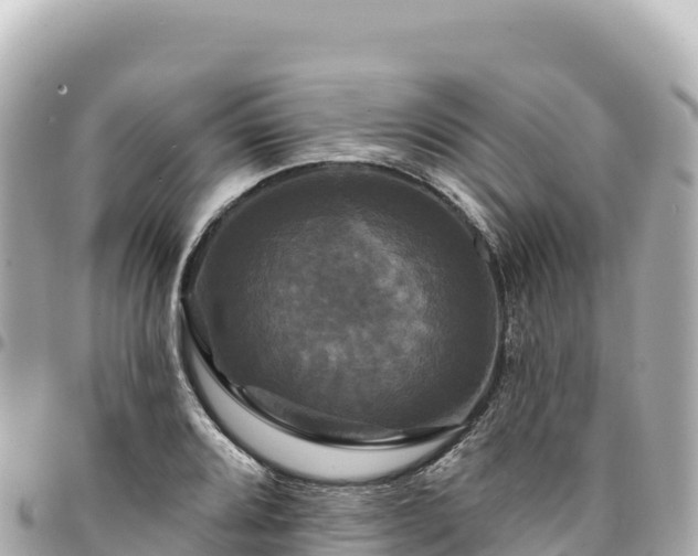 X0000095111080200712141146