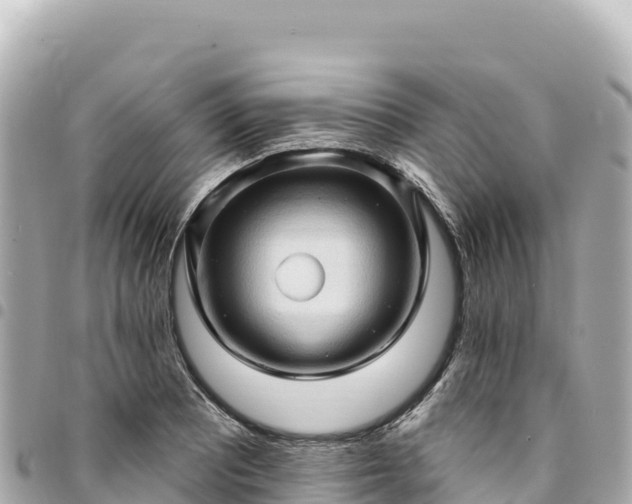 X0000095111081200712141146