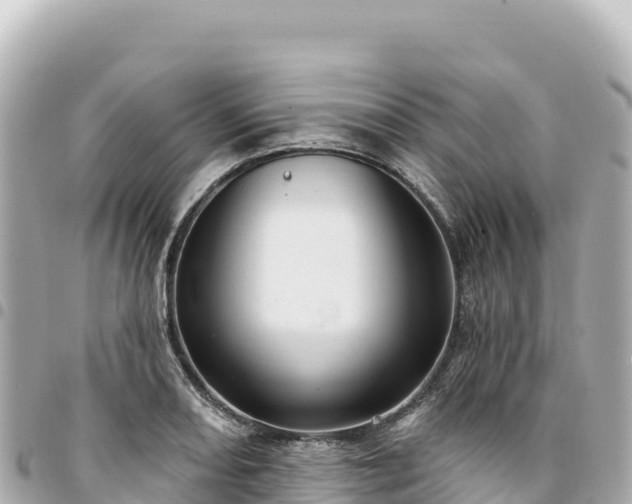 X0000095111082200712141146