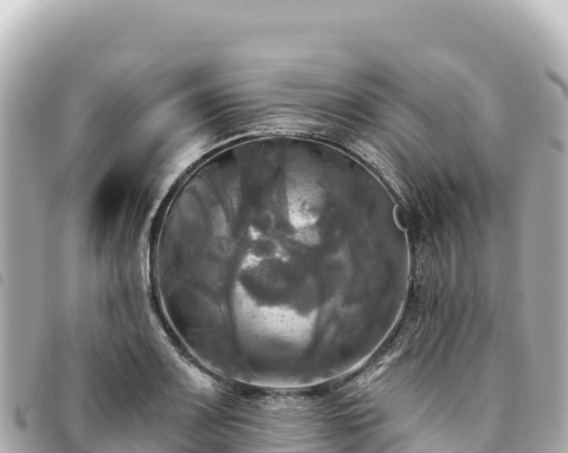 X0000095111083200712141146