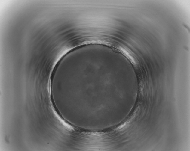 X0000095111084200712141146