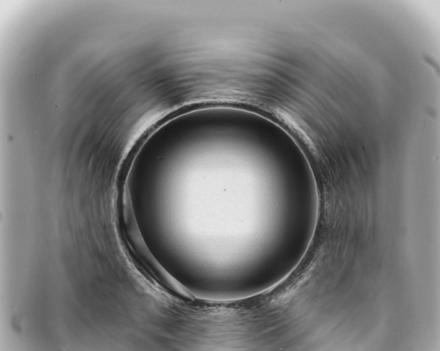 X0000095111085200712141146