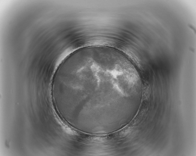 X0000095111086200712141146