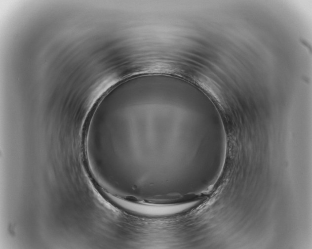 X0000095111087200712141146