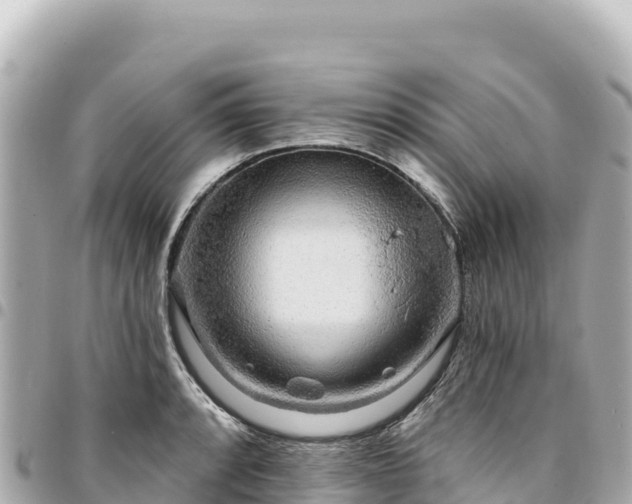 X0000095111088200712141146