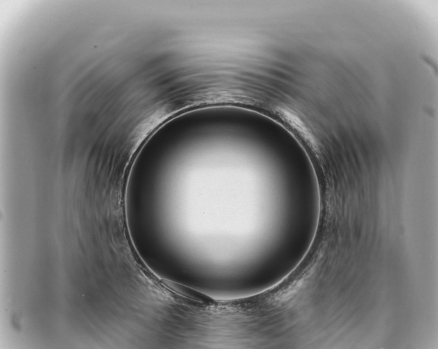 X0000095111089200712141146