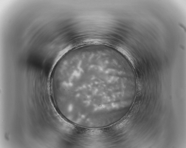 X0000095111090200712141146