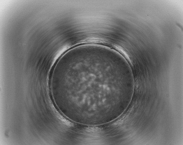 X0000095111091200712141146