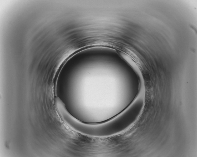 X0000095111092200712141146