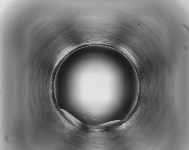 X0000095111093200712141146