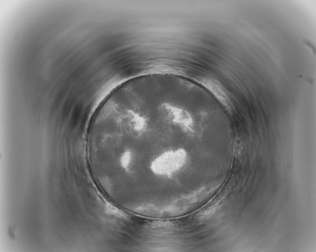 X0000095111094200712141146