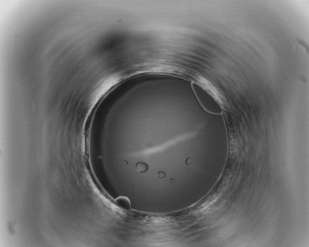 X0000095111095200712141146