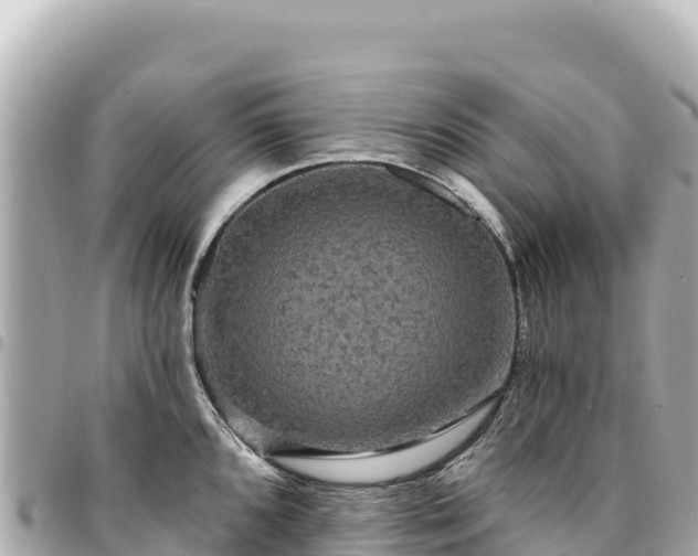 X0000095111096200712141146