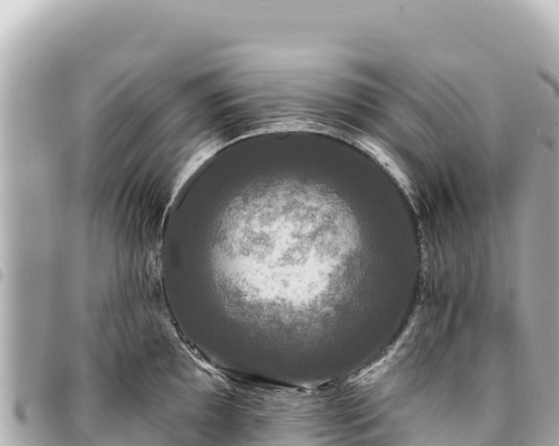 X0000095111097200712141146