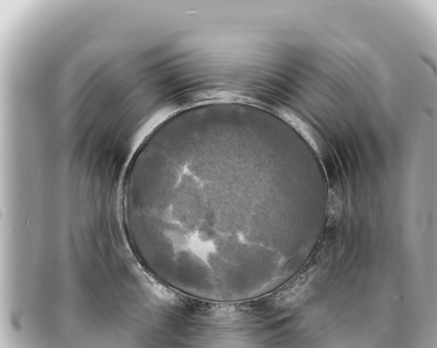 X0000095111098200712141146