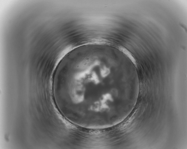 X0000095111099200712141146