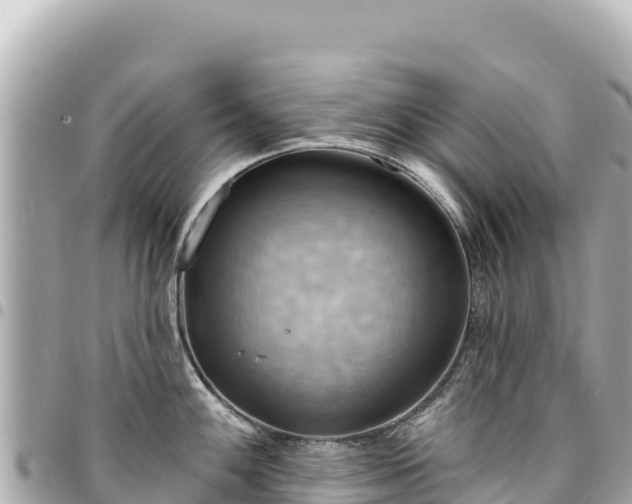 X0000095111100200712141146