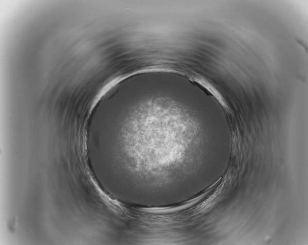 X0000095111101200712141146