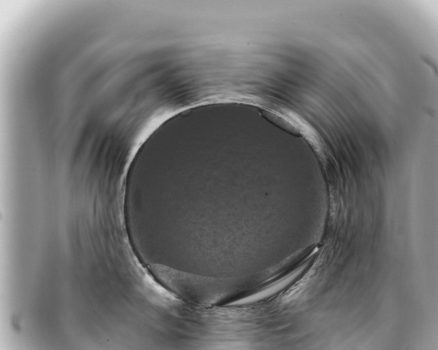 X0000095111102200712141146