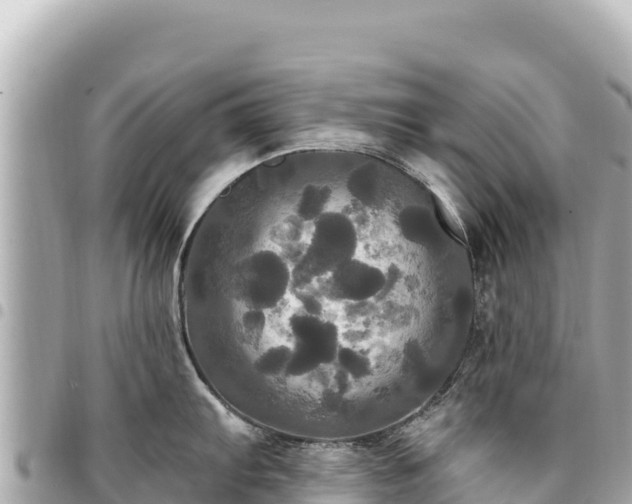 X0000095111103200712141146