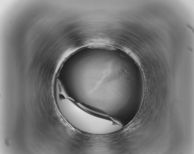 X0000095111104200712141146