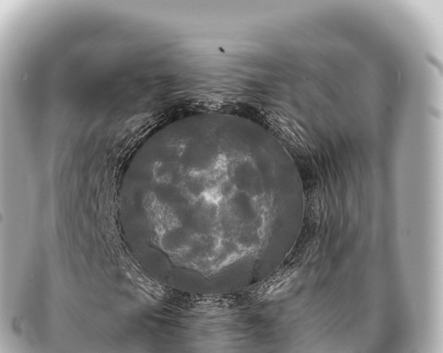 X0000095111105200712141145