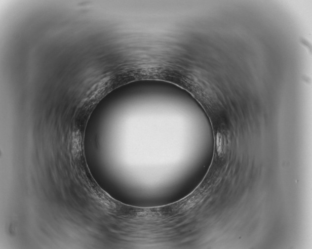 X0000095111107200712141145