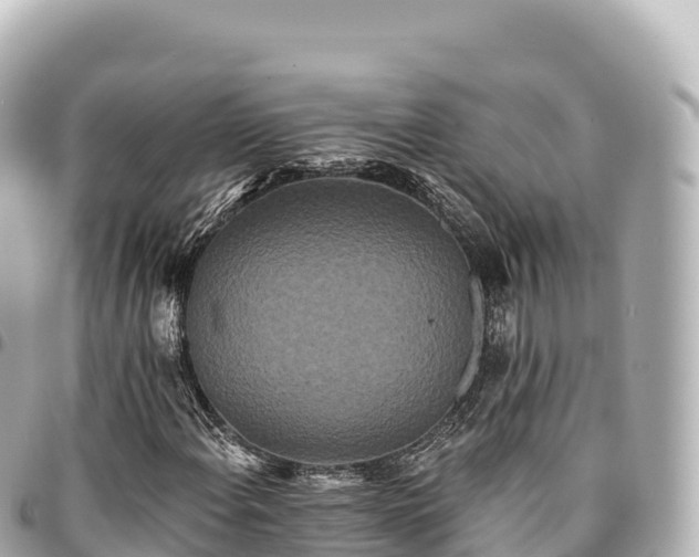 X0000095111108200712141145