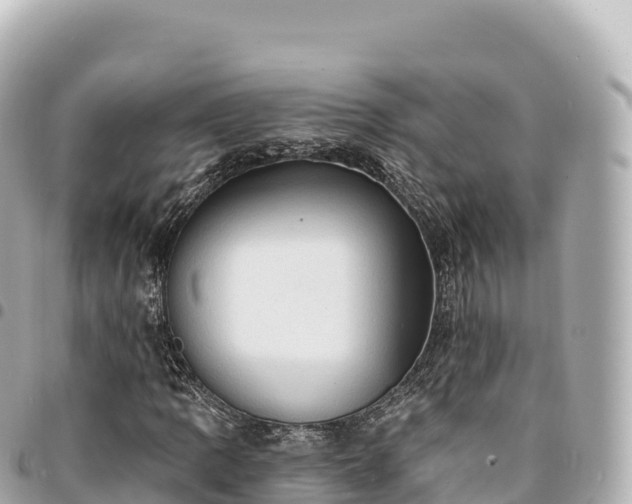 X0000095111109200712141145