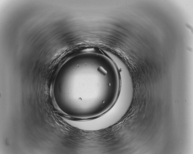 X0000095111110200712141145