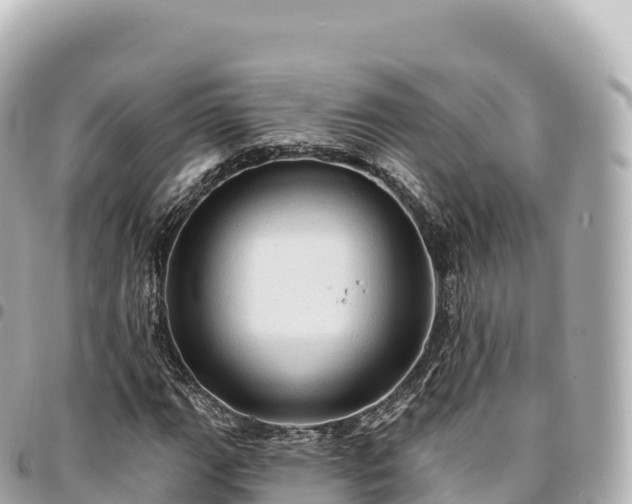 X0000095111111200712141145