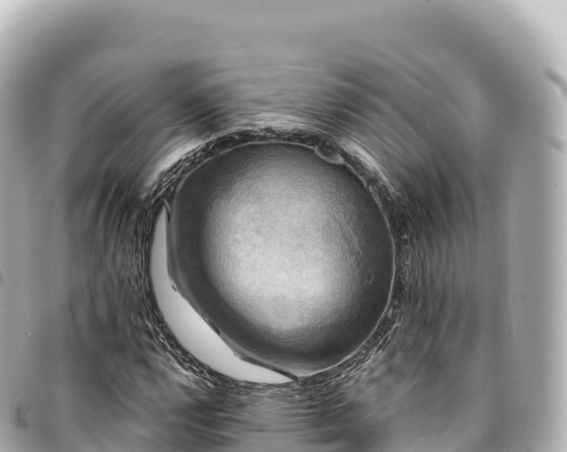 X0000095111112200712141145