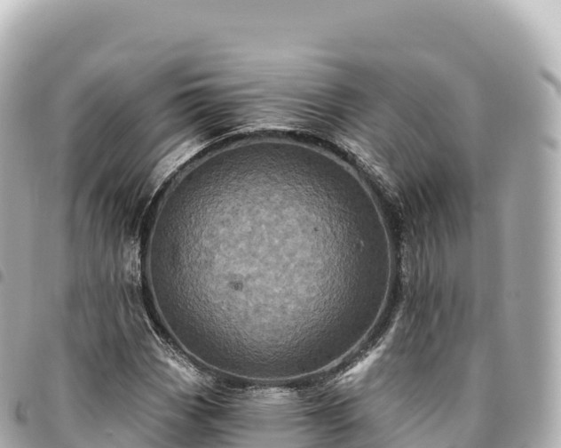 X0000095111113200712141145