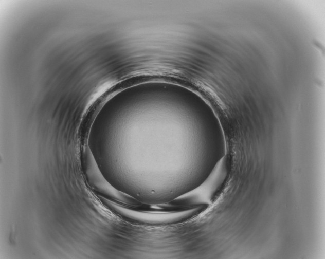 X0000095111114200712141145