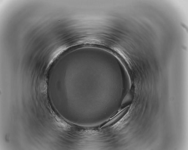 X0000095111115200712141145