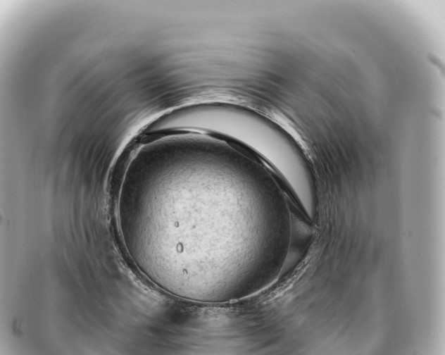 X0000095111116200712141145