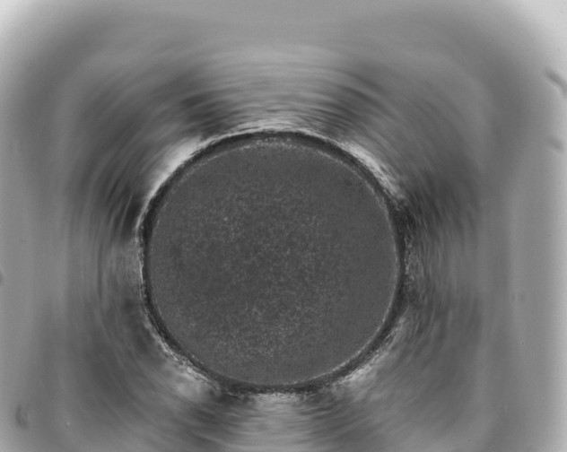 X0000095111118200712141145