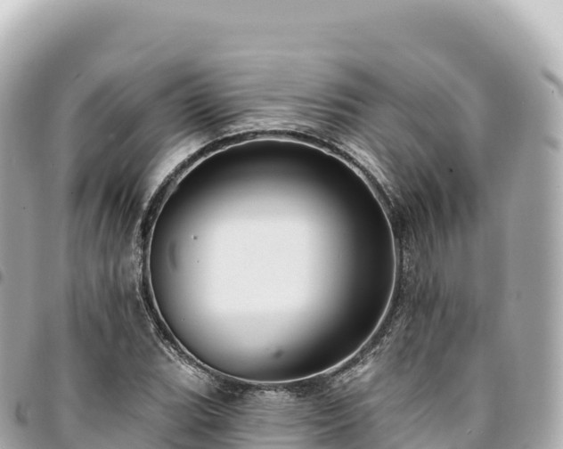 X0000095111119200712141145