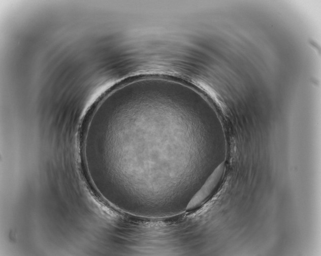 X0000095111120200712141145