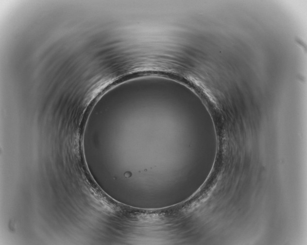 X0000095111121200712141145