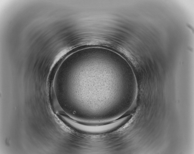 X0000095111122200712141145