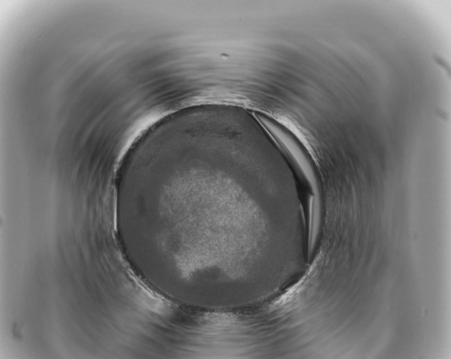 X0000095111123200712141145