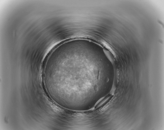 X0000095111124200712141145