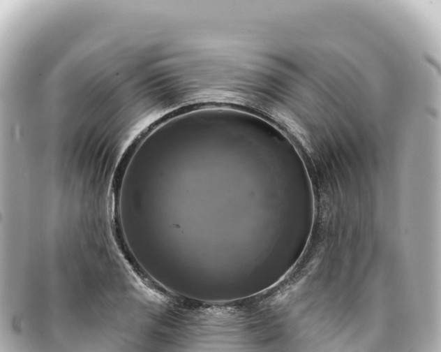 X0000095111125200712141145