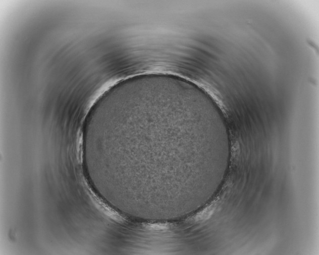 X0000095111126200712141145