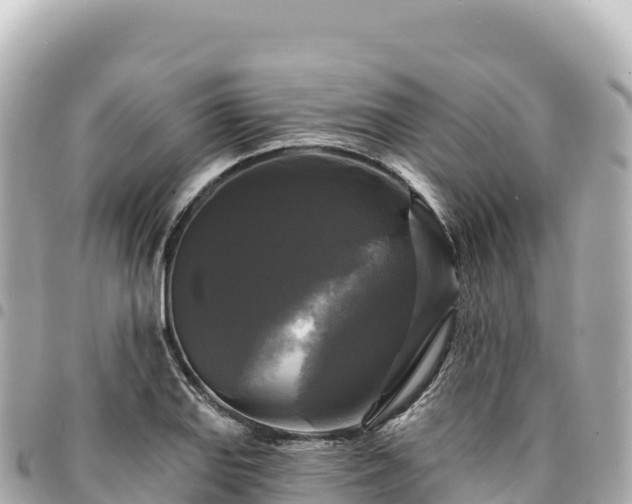 X0000095111127200712141145