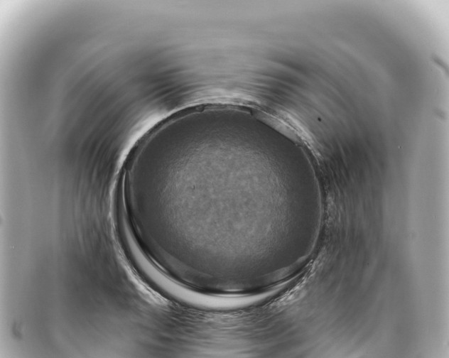 X0000095111128200712141145